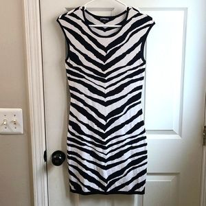 Express sweater dress